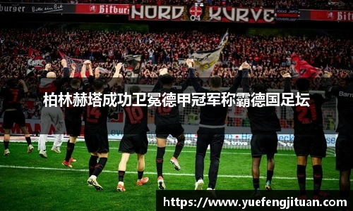 伟德bv国际体育