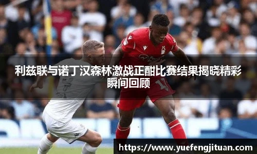 伟德bv国际体育
