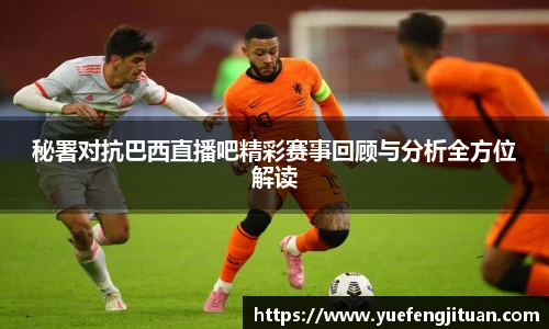 伟德bv国际体育
